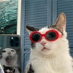 Avatar de Helena Tovar